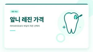 앞니 레진 가격